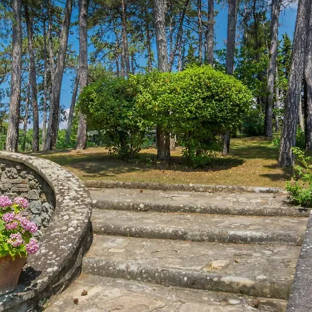Poggio Patrignone-1 By Interhome *